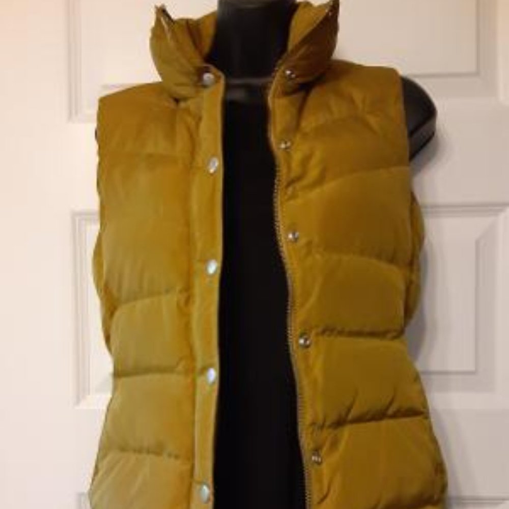 Winter Wonderland with  Outerwear J Crew Vest